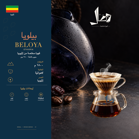 بيلويا | Beloya — لوحة وصال للمحصول: المنشأ إثيوبيا، المعالجة لاهوائية، وإيحاءات توت، زبيب، شوكولاتة.