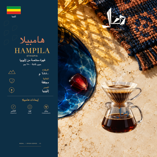 هامبيلا | Hampila — لوحة وصال للمحصول: المنشأ إثيوبيا، المعالجة مجففة، وإيحاءات أناناس، توت، رمان.