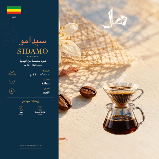 سيدامو | Sidamo — لوحة وصال للمحصول: المنشأ إثيوبيا، المعالجة مجففة، وإيحاءات زهور، فاكهة حمضية.